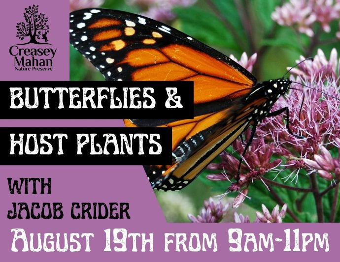 Butterflies and Host Plants.jpg
