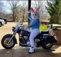 easter bunny motorcycle.jpg