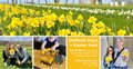 Daffodils Days 24 Facebook Event Cover 2.jpg