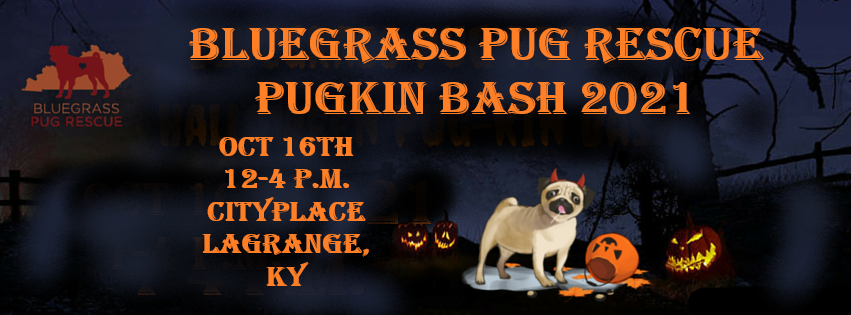 Bluegrass-Pug-RescueHalloween-Pug-kin-Bash21.png