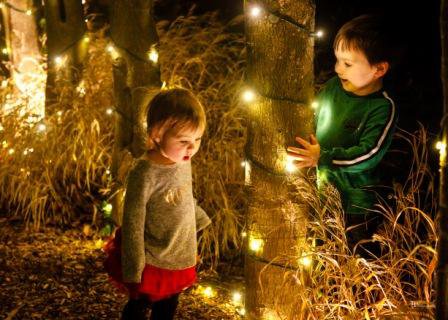 3-Yuletide-Riley-and-brother-in-Holly-Allee.jpg