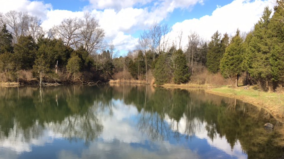 6.4.22-Reflection.-Woodland.Trails-1536x864.png