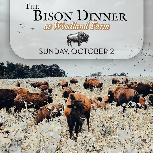 Bison Dinner.jpg