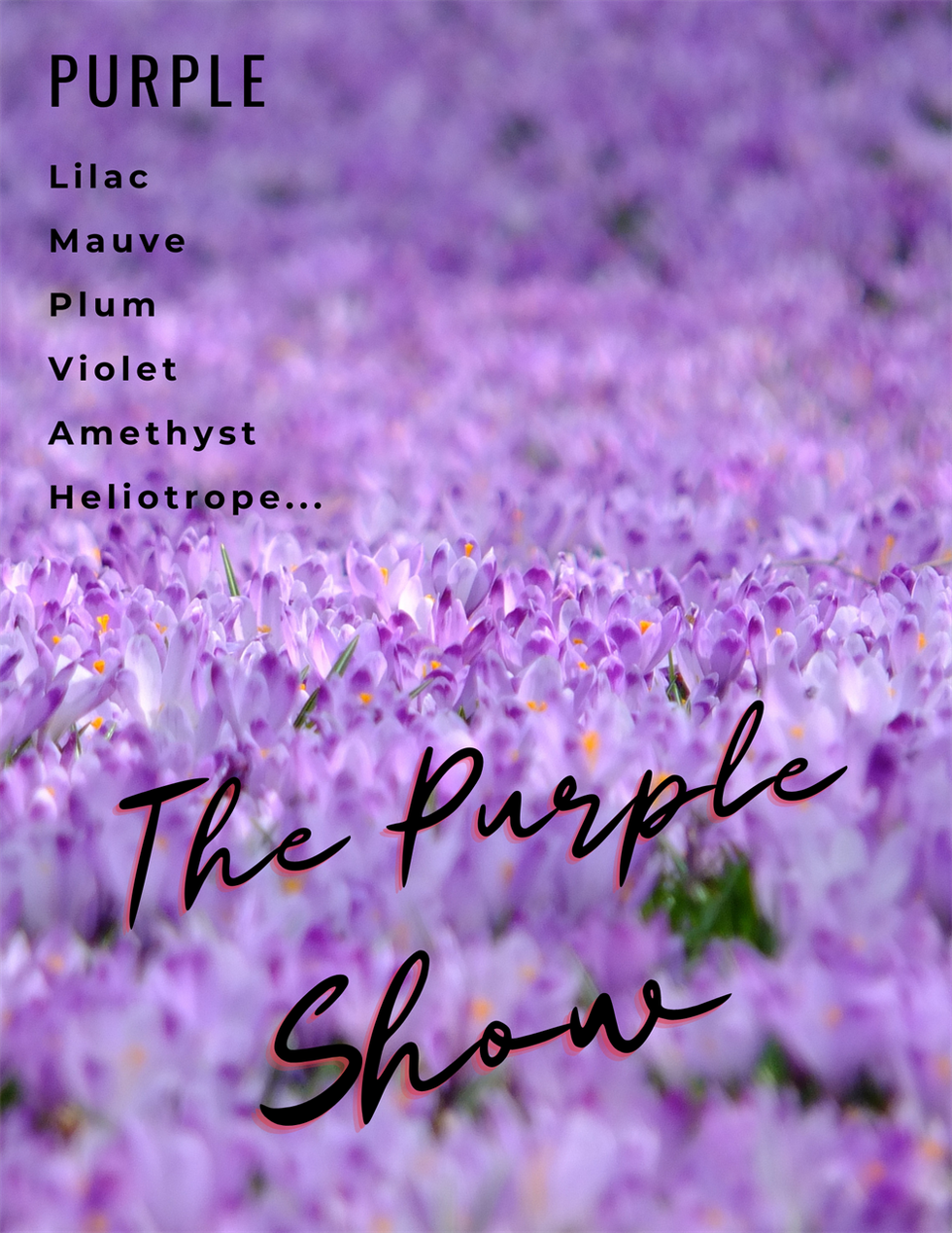 The Purple Show.png
